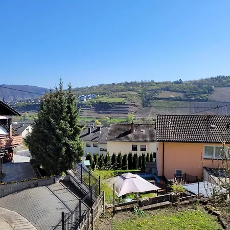 Burg- Und Moselblick