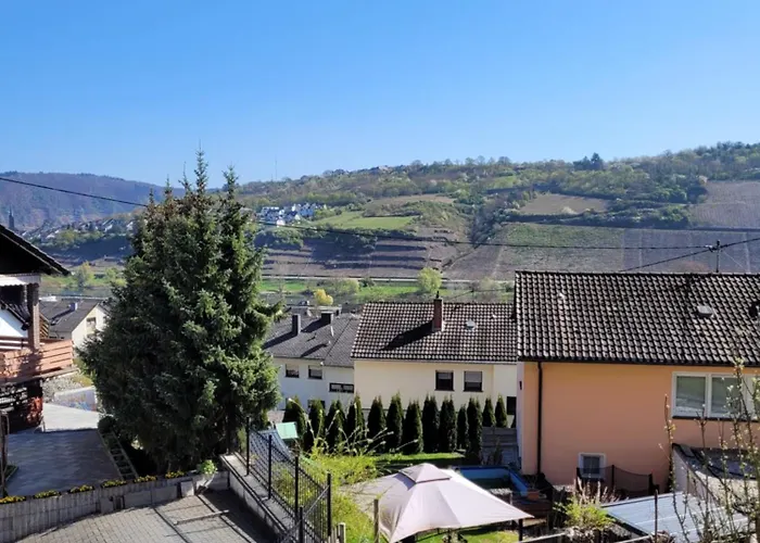 Burg- Und Moselblick